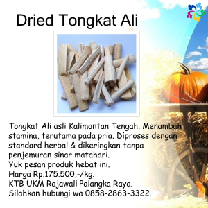 Dried Tongkat Ali