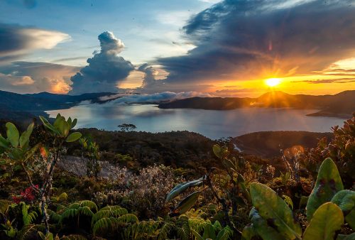 Papua